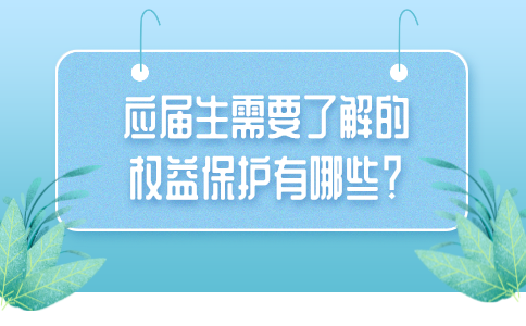 河北应届生了解的权益保护